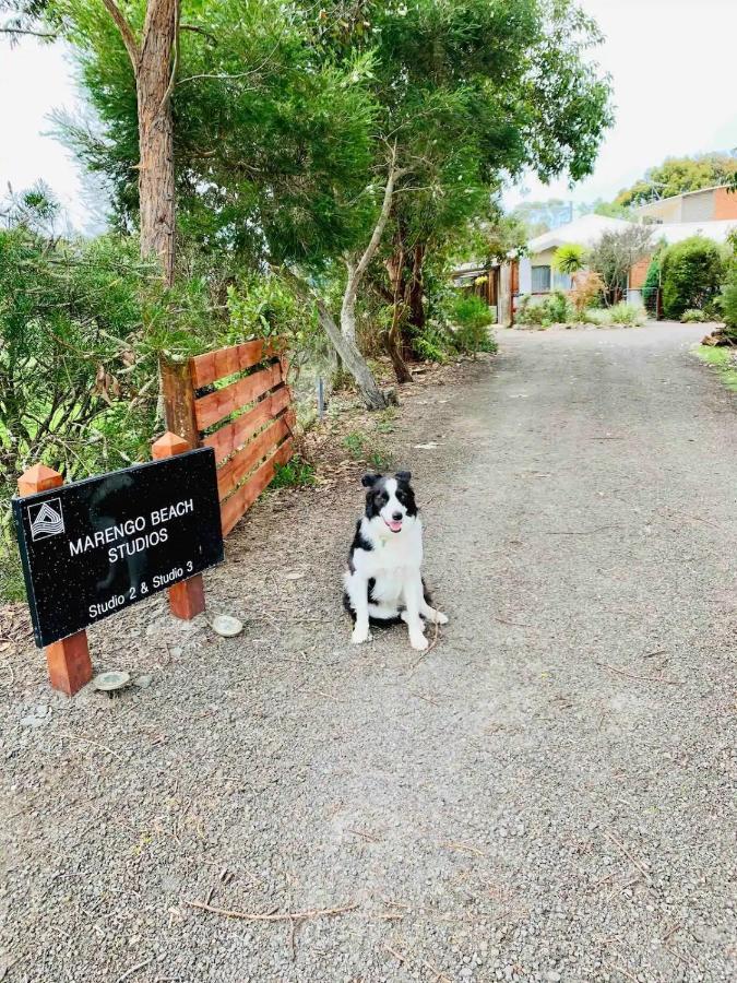 Marengo Beach Studios- Pet Friendly Zewnętrze zdjęcie